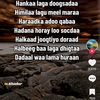 saredo.arab