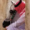 mohammed1981800