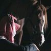 yousef_malkawi_88