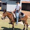 2pedro.lucas