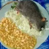 chupacuofgoianinha