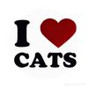 catatatatatatatatat