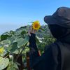 yourrsunflower_