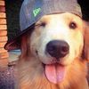 loufred891