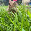 lubby0706