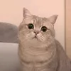 lenn_u3