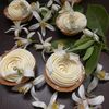 lanesrinette