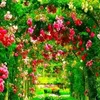 mdjoykhan4523