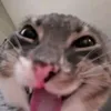anushkaa121