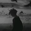 zass_7ditz