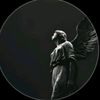 arzz.15_arshaka