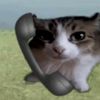 nawziee.e