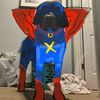 cam_ishere3