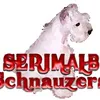 nancytaylorserimalb