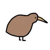 insightkiwi