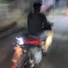 yang_baca_kadal