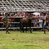 mardionlagansua4