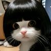 roro.wilis6
