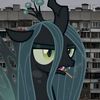weeping..willoww