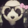 pynkbloom03
