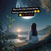 usersokhak555