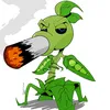 ben.sparks12