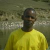 p_olonde