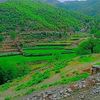 badshazar.wazir