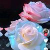 awaiskhan29481