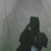 izsaa09