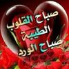 userptqji5e9hh