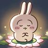 user_rr2344
