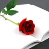 hawraman_harwny
