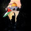 habibamustafa6141