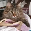 vera_124359