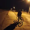 the_boss243