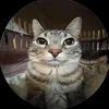 pagen_gifflar