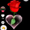 user8519027929022
