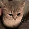 foo_notfound404