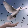 abuibrahim1011