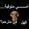 dy6oa8g684wb