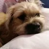 zoehines4
