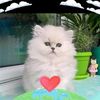 userb15yyzeigy