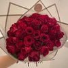 alia.com3