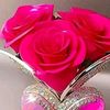 mariyem071