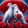 hamedsalem467
