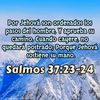 martaaraujo_2519