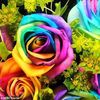 azzamansour297