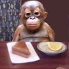 dave_ee4