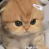 susudjdbhfskne